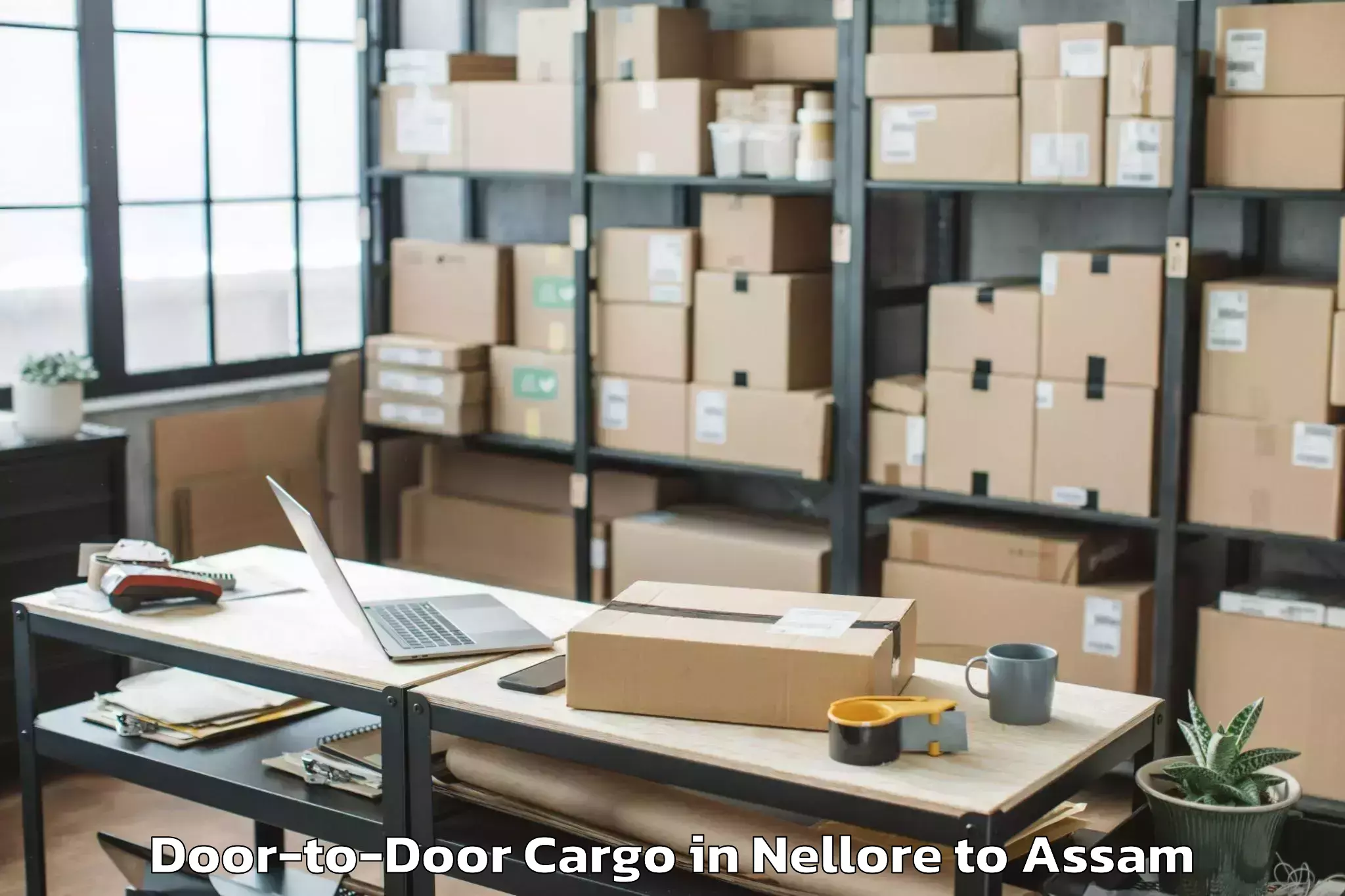 Easy Nellore to Kalaigaon Pt Door To Door Cargo Booking